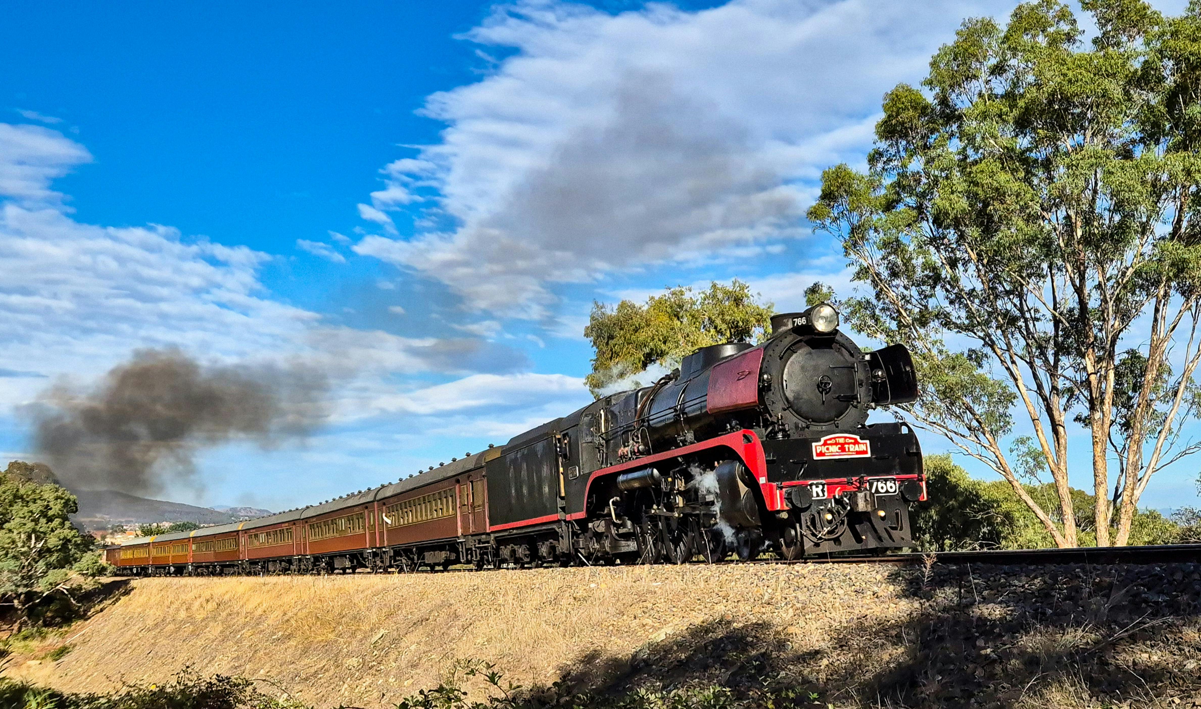 Newcastle Picnic Train