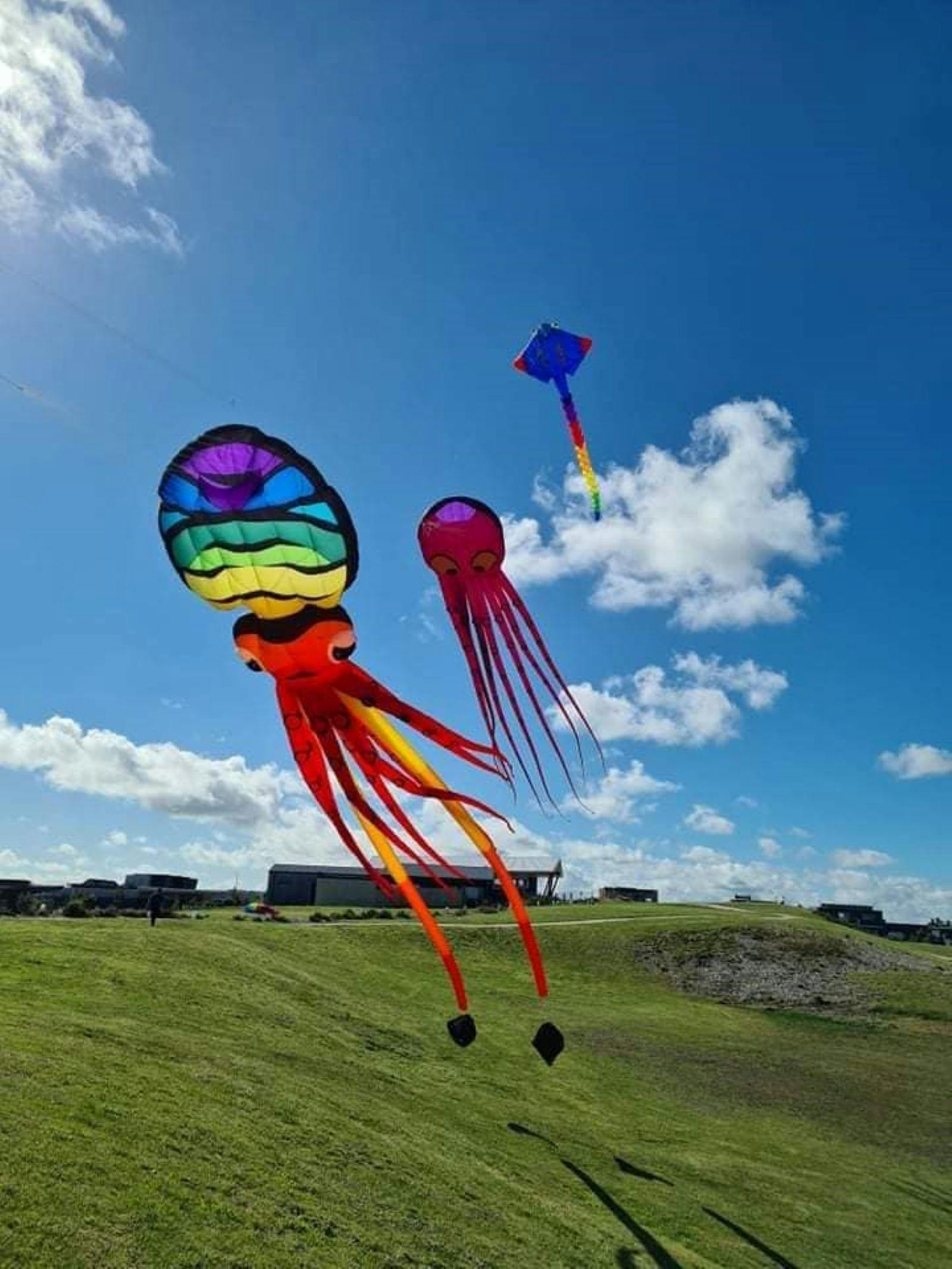 3 jellyfish shaped kites