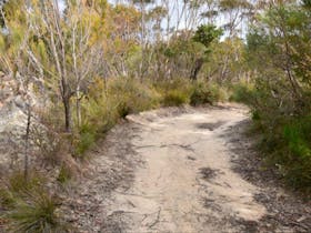 Red Rocks trig walking track