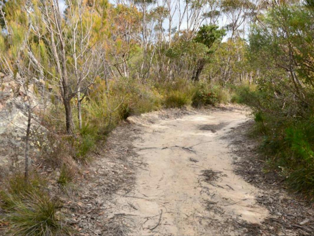 Red Rocks trig walking track