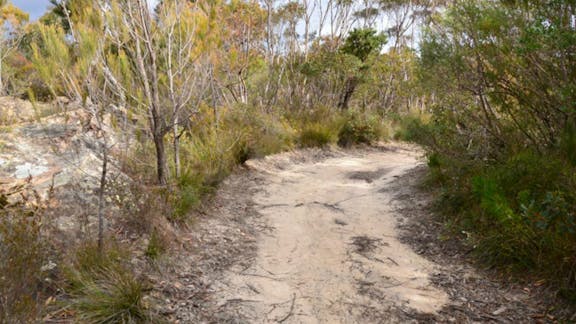 Red Rocks trig walking track
