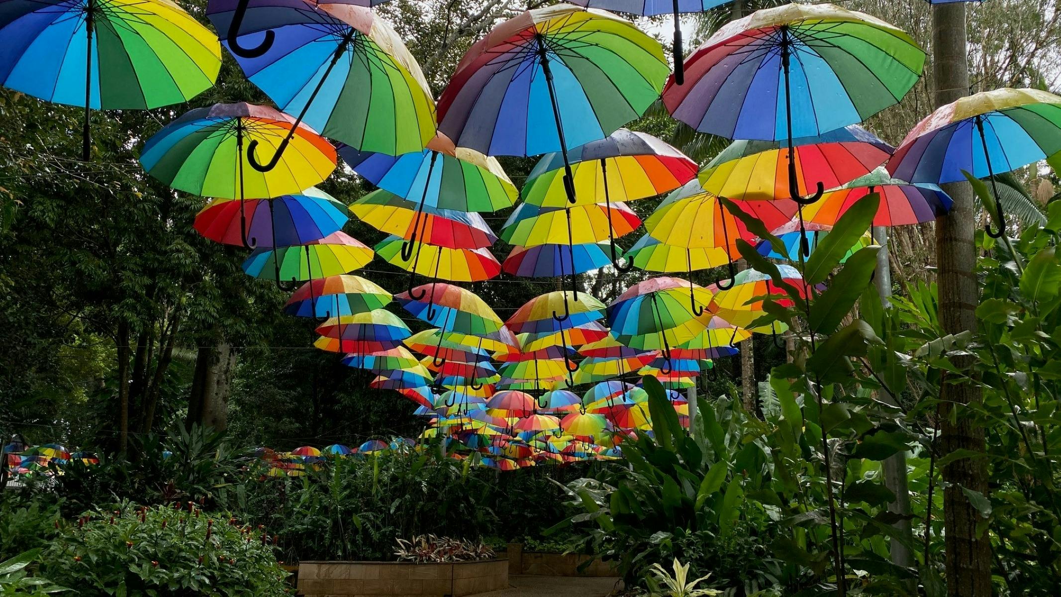 The Rainbrella Project