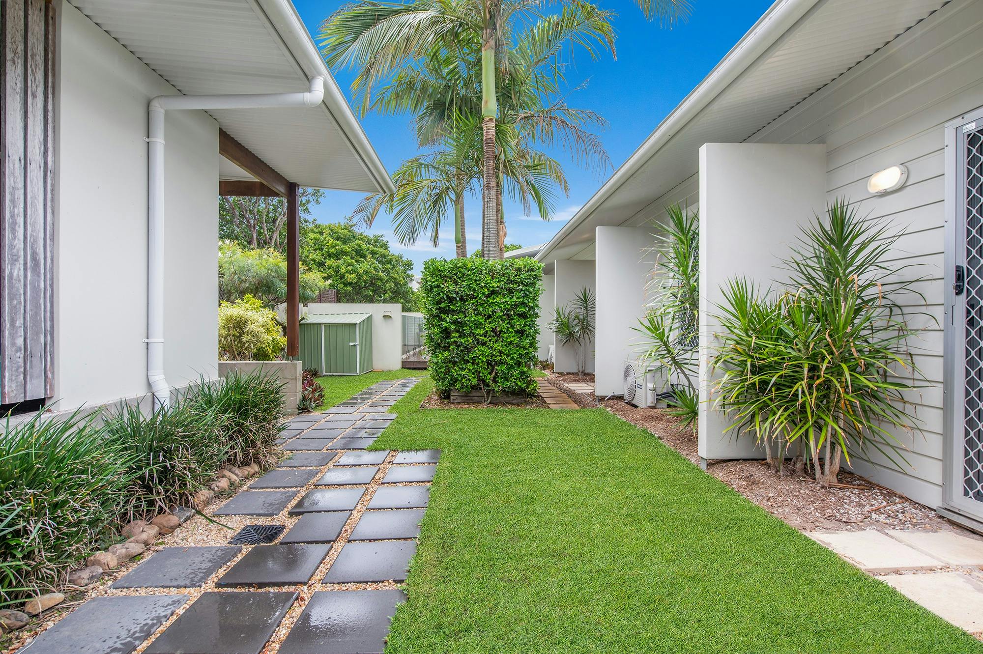 Fully fenced grassed yards for your dogs to safely enjoy