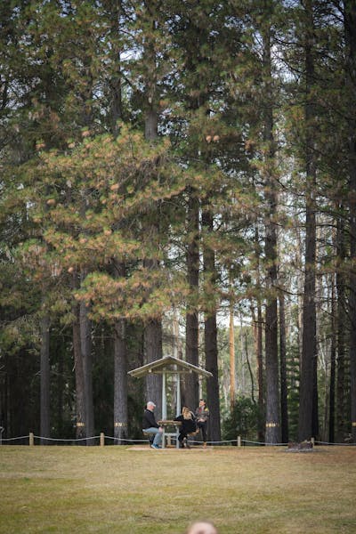 Pilot Hill Arboretum, Bago State Forest