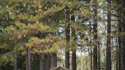 picnic facilities, Pilot Hill Arboretum