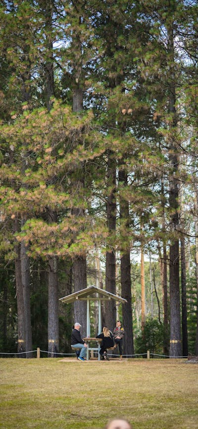 picnic facilities, Pilot Hill Arboretum