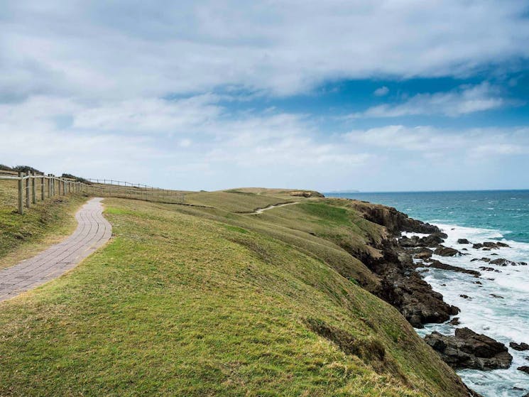 Look at me Now Healand walk, Moonee Beach Nature Reserve. Photo: David Young