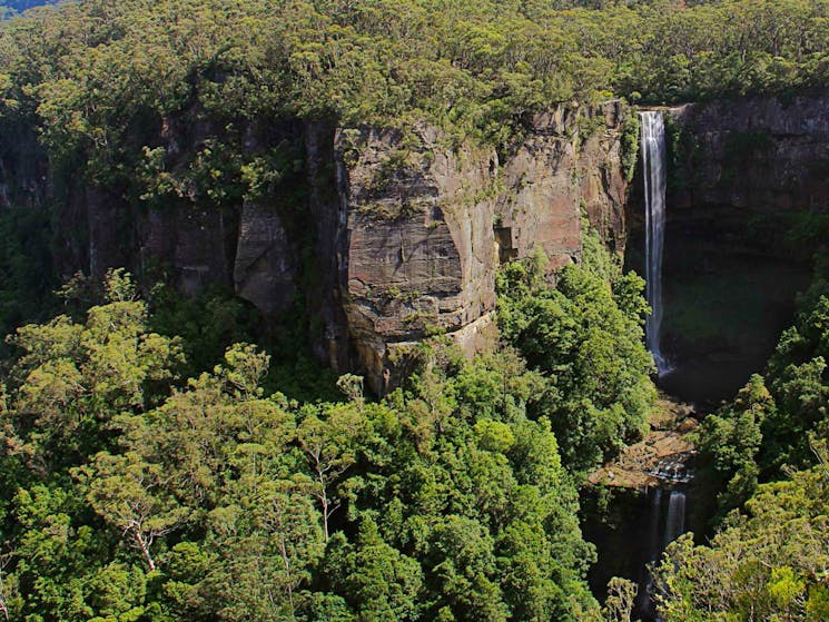 Belmore Falls. Photo:John Yurasek