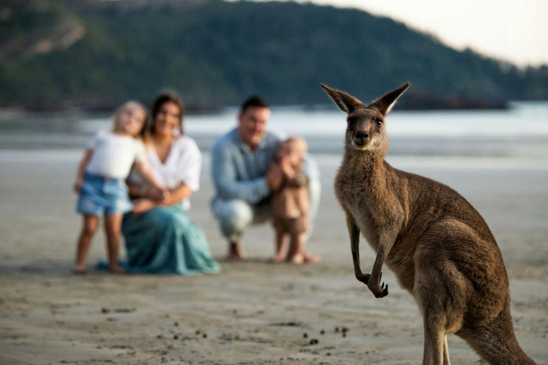 Sunrise at Cape Hillsborough, with a wallaby and a family with young children on the beach