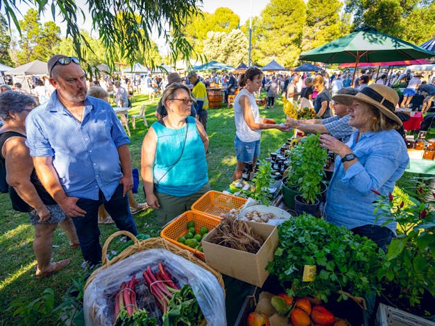 Sunraysia Farmers and Makers Market Jaycee Park Mildura