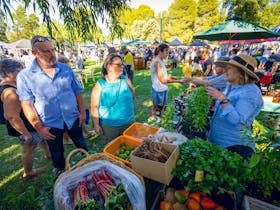 Sunraysia Farmers and Makers Market Jaycee Park Mildura