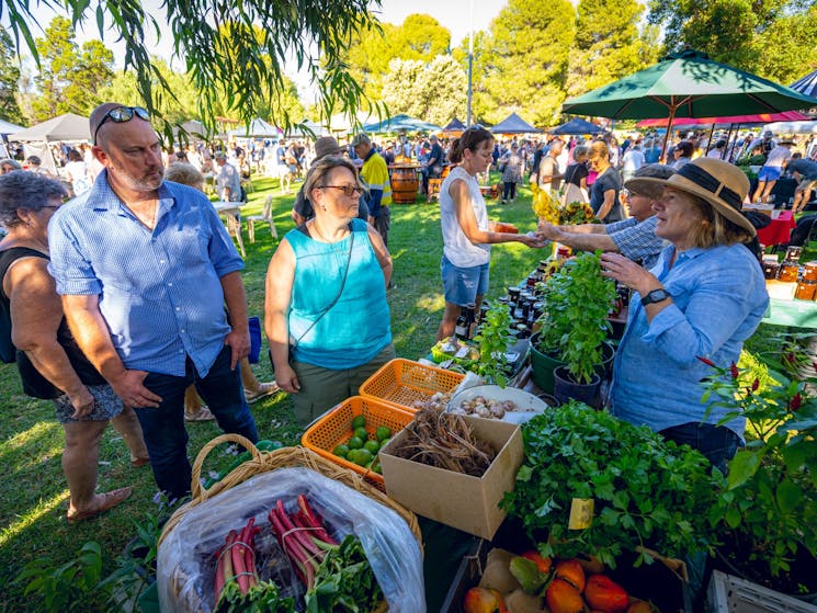 Farm Fresh Produce direct from local growers, photo taken pre-Covid19 regulations