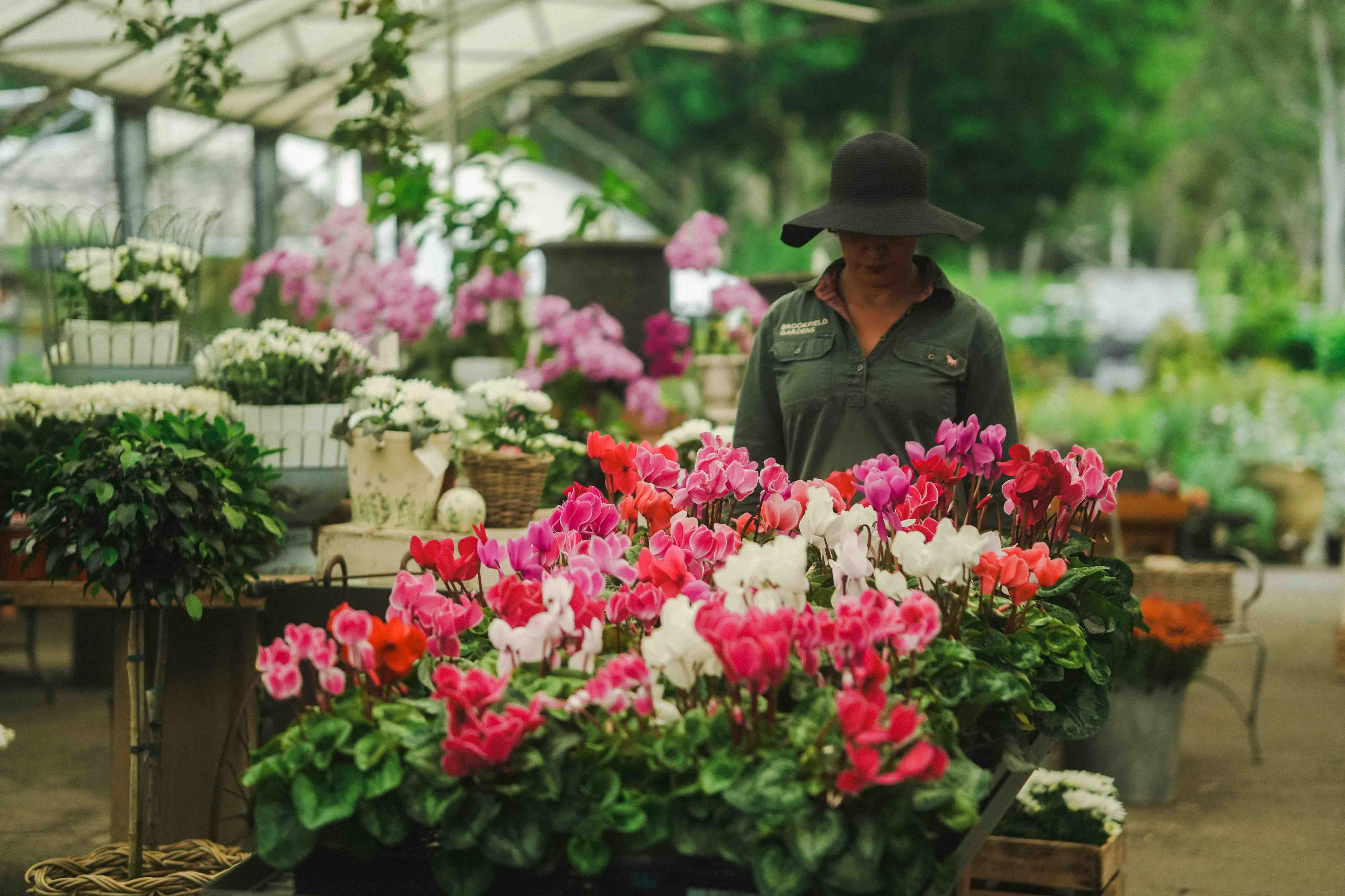 Brookfield Gardens bursting with colour