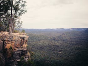 Bulimba Bluff at Carnarvon Gorge offers breathtaking views of the ancient escarpment