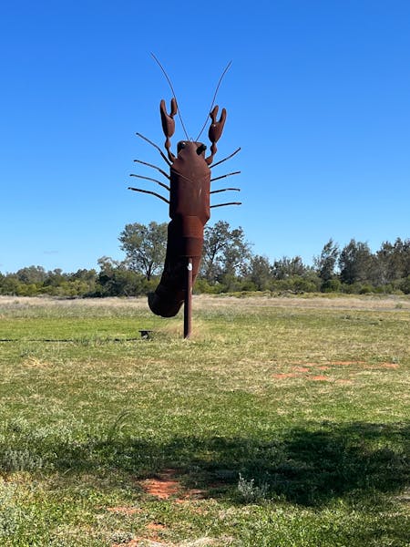 The Big Yabby