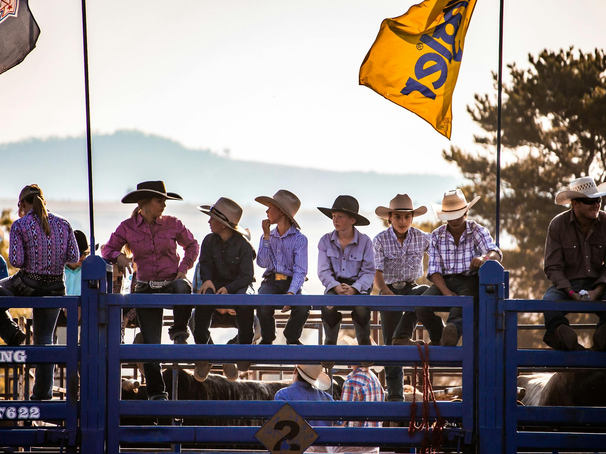 Next generation of cowboys and cowgirls