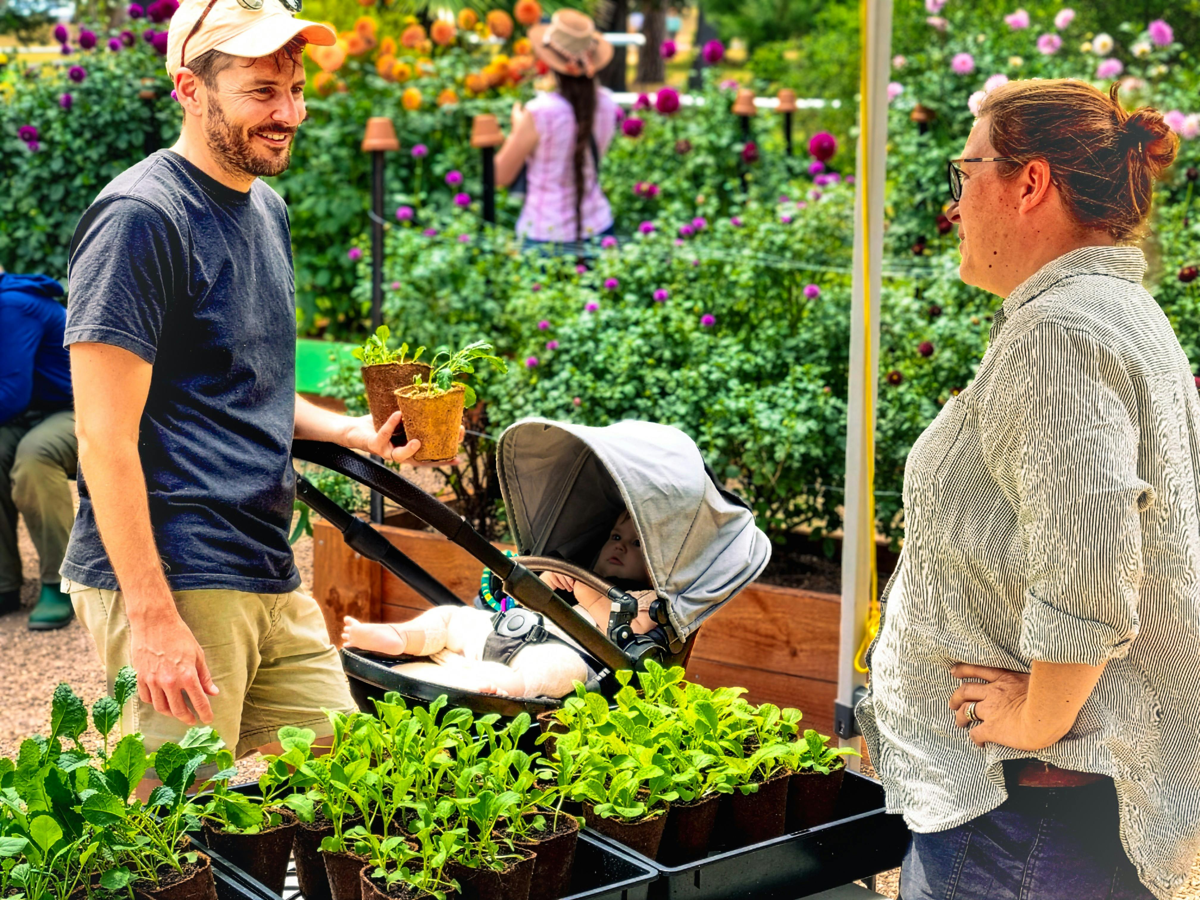 Man with baby talks to stallholder at Harvest Day Out