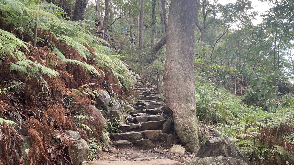 Exploring local trails