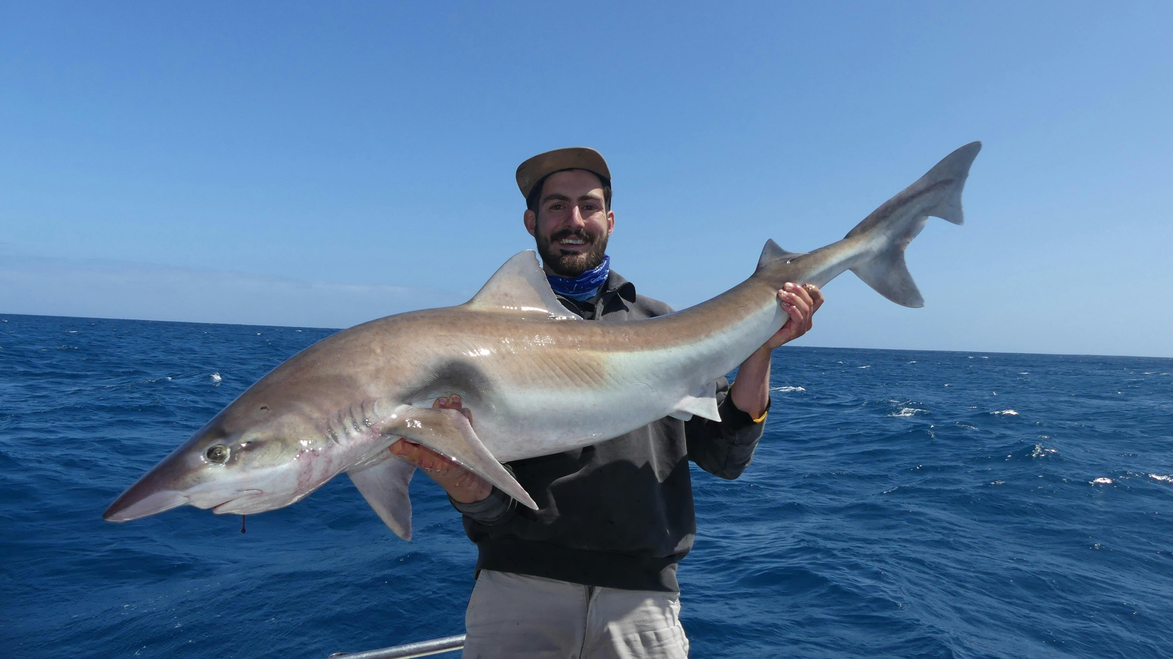 Offshore Deep Sea Shark Fishing charter