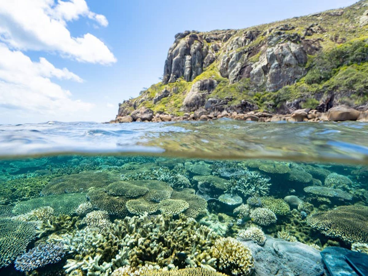 Reef