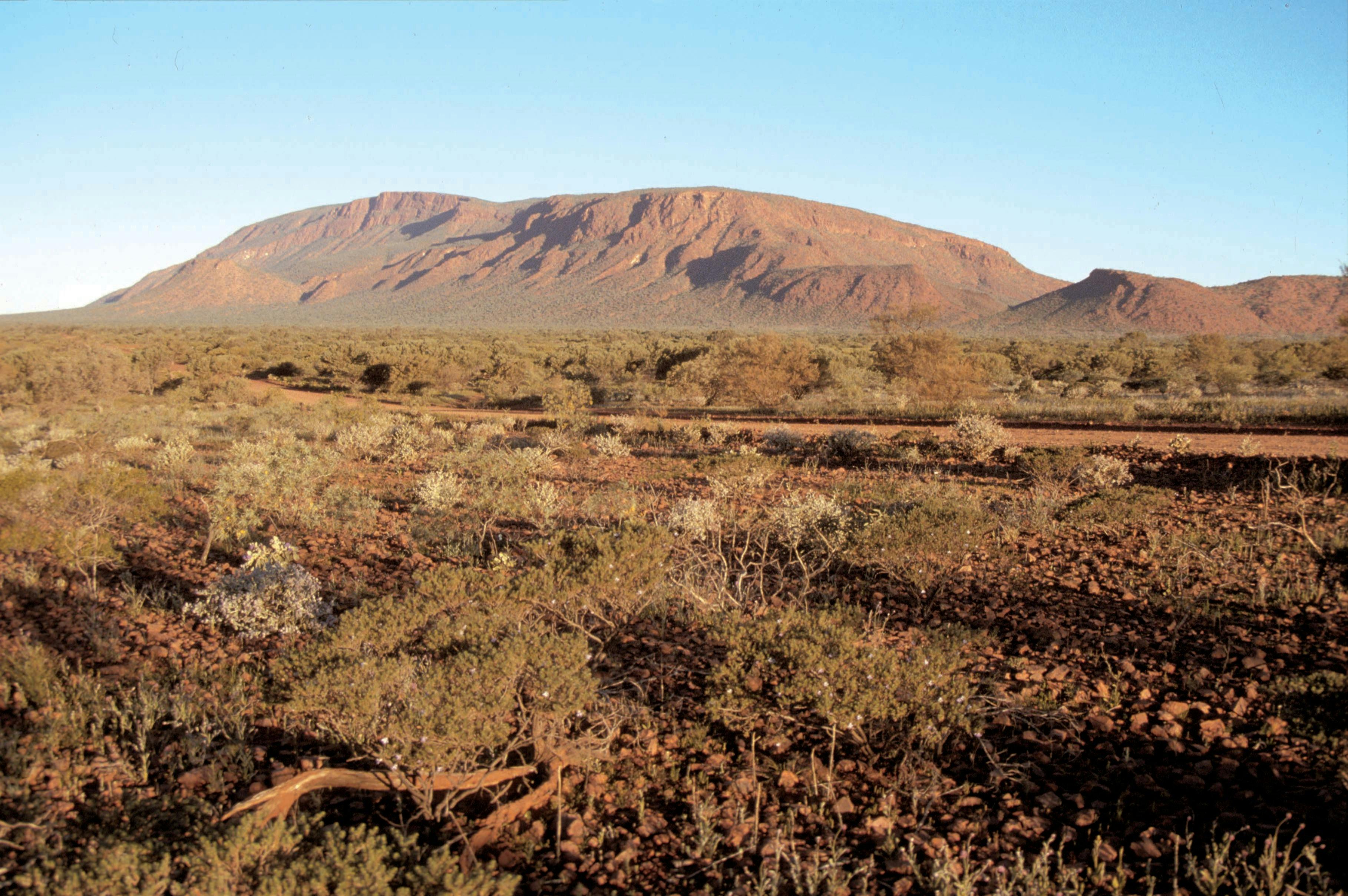 Mount Augustus