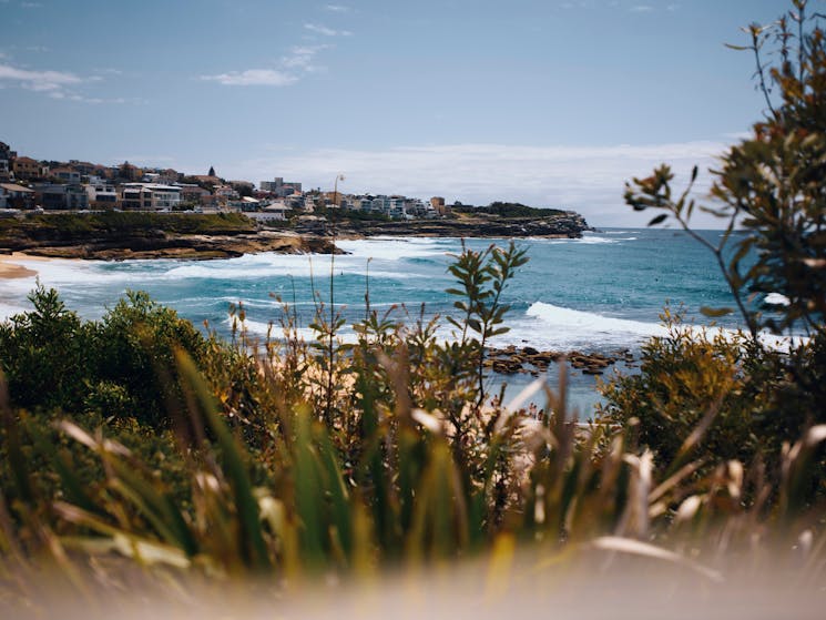 The scenic Bronte Beach in the eastern suburbs of Sydney