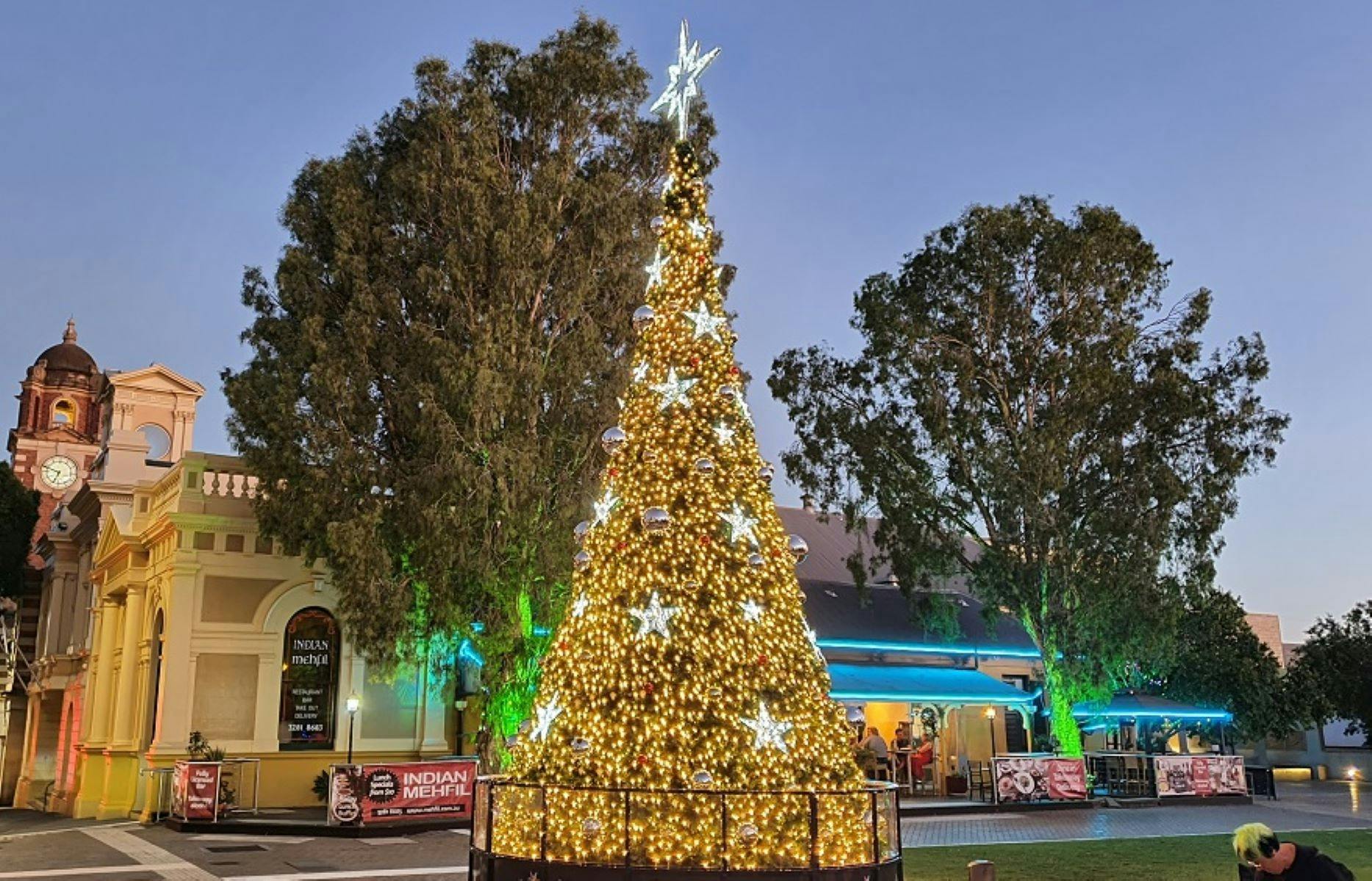 City Christmas Tree - Christmas in Ipswich