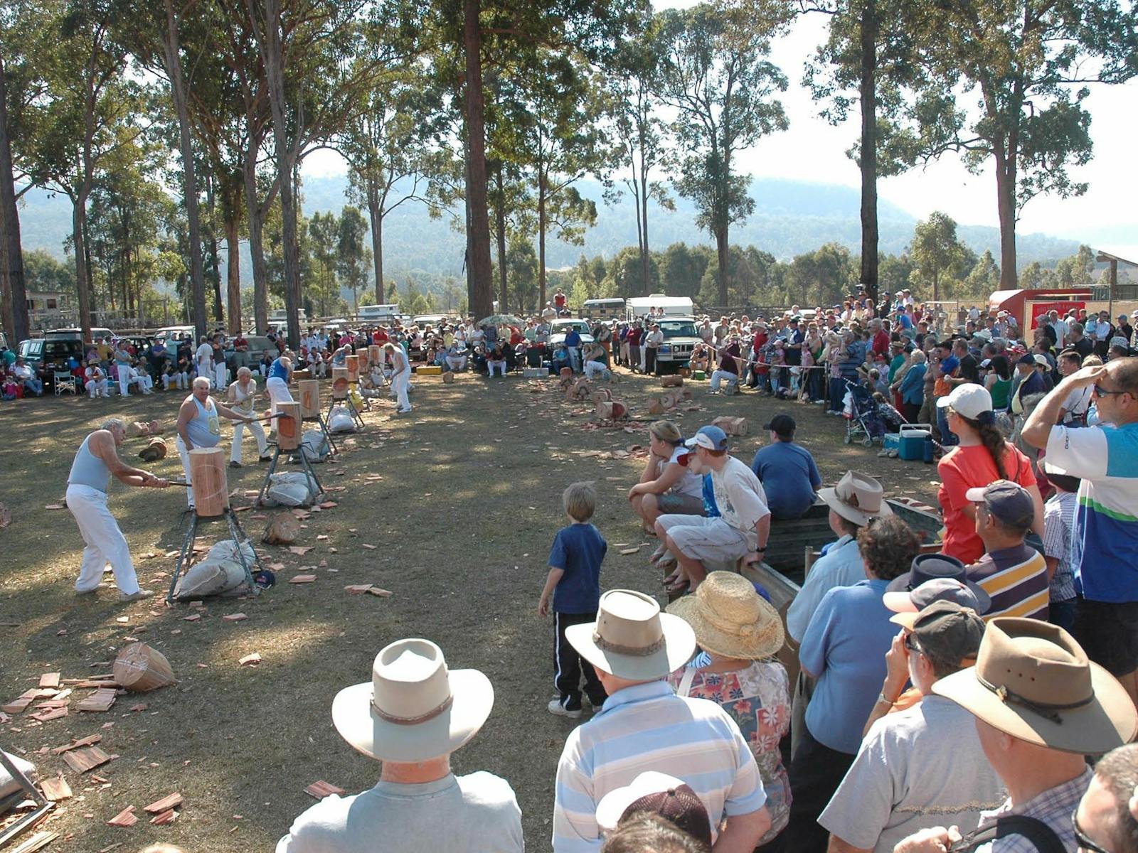 Image for Glenreagh Timber Festival