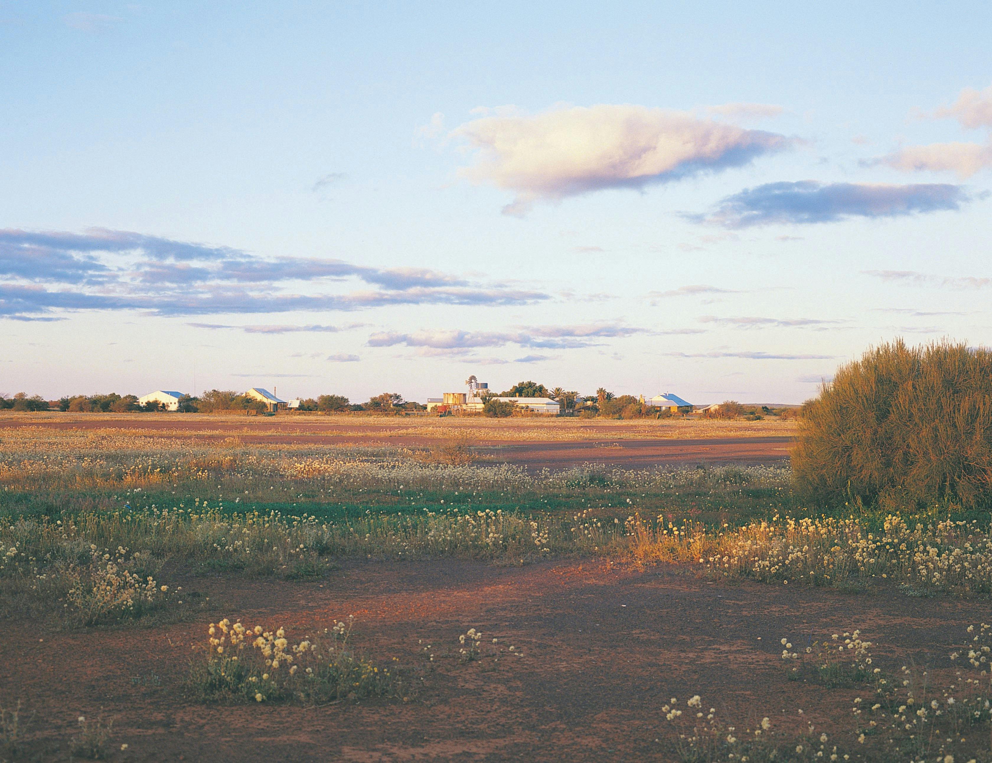 Thundelarra Station, north west of Paynes Find
