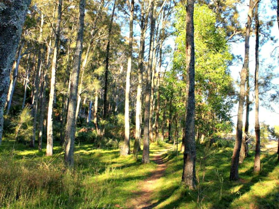 Square Head Track 1