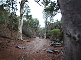 flinders-ranges