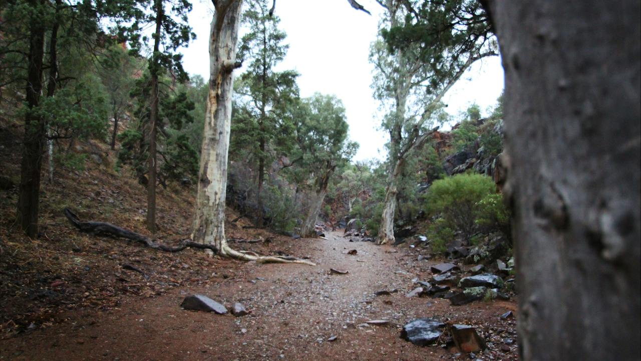 Ikara-Flinders Ranges National Park