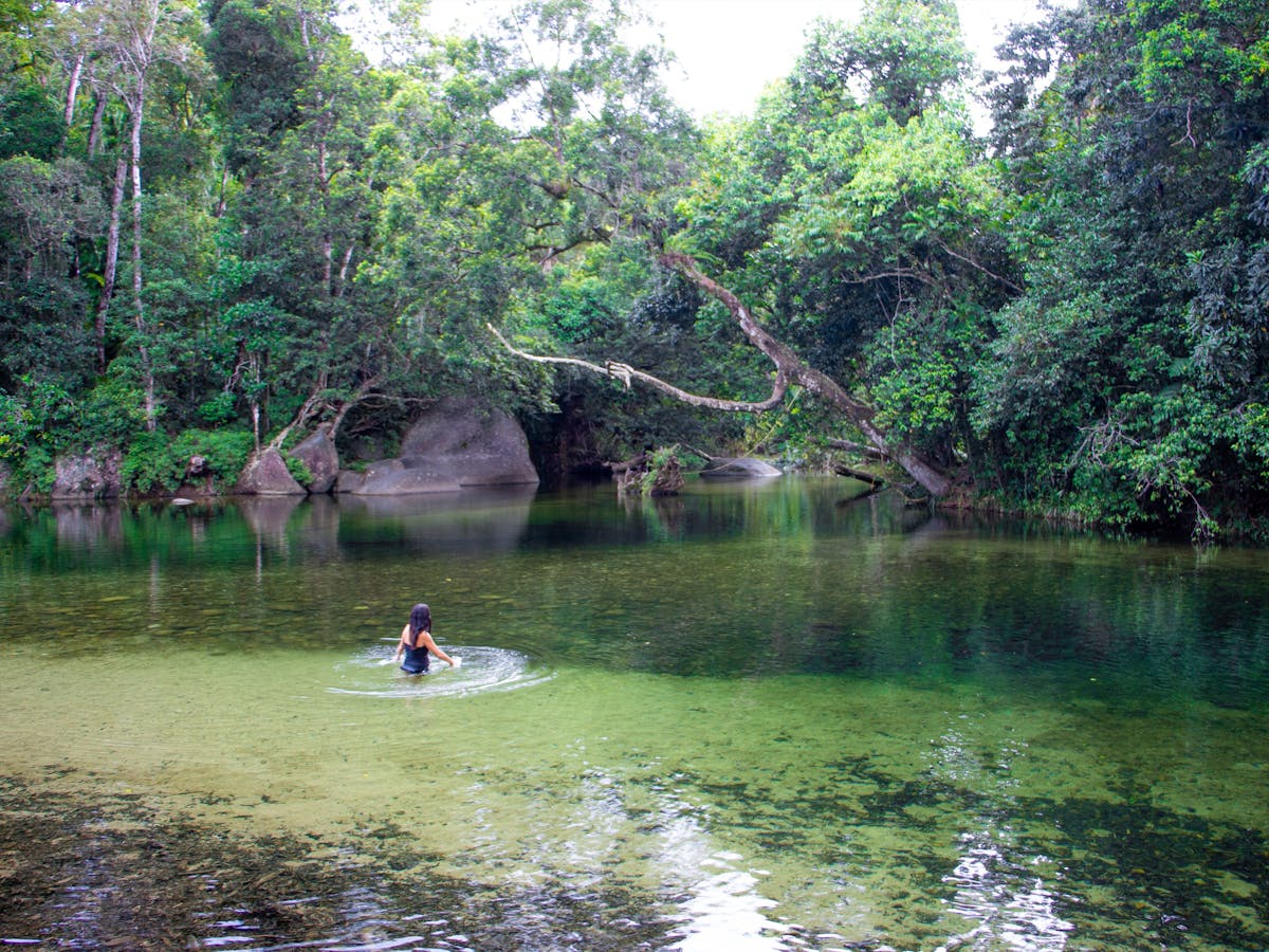 swimming at Babinda Boulders on Wooronooran Safaris tour