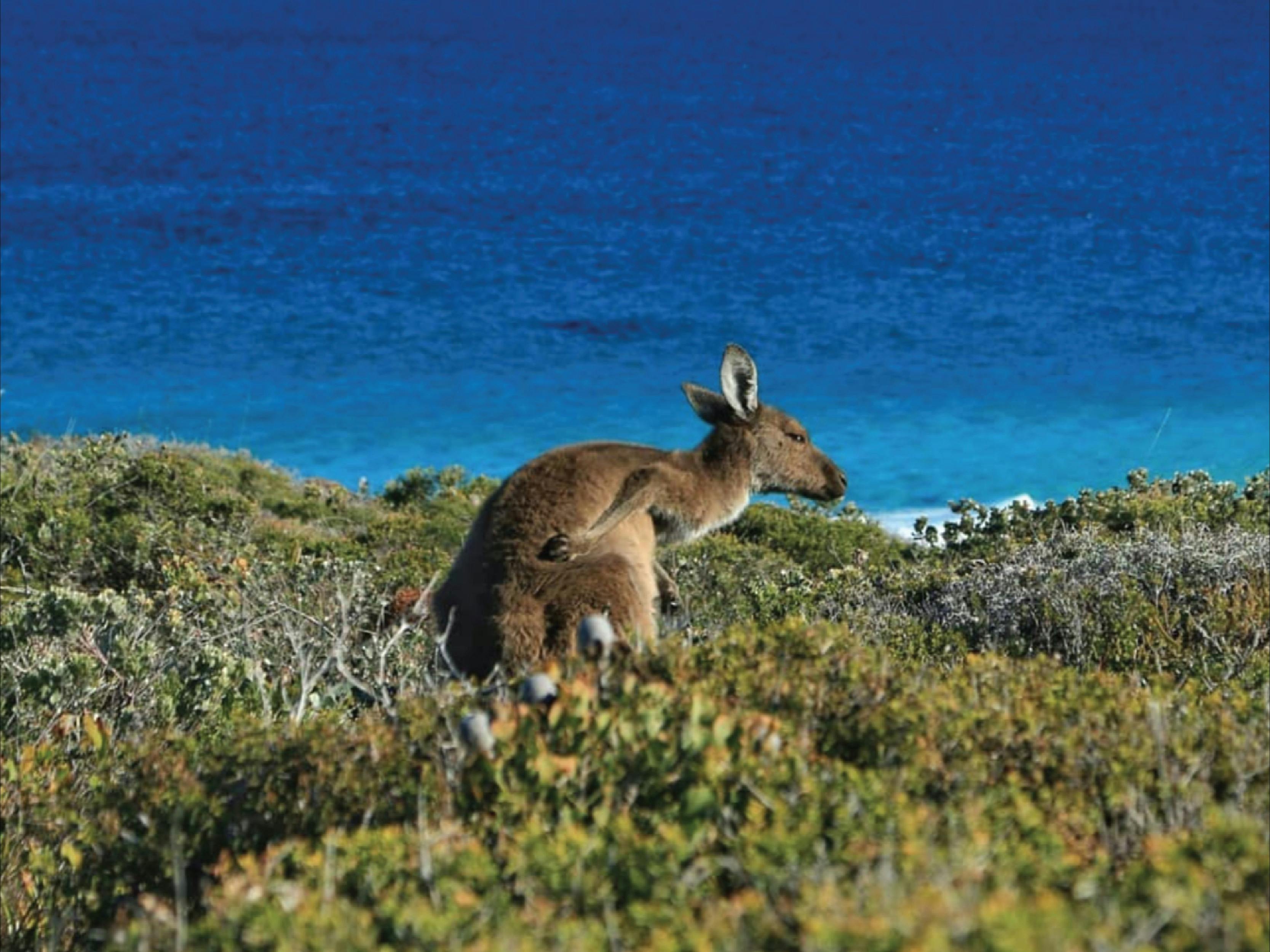 Southern Edge Wilderness Escape Tour