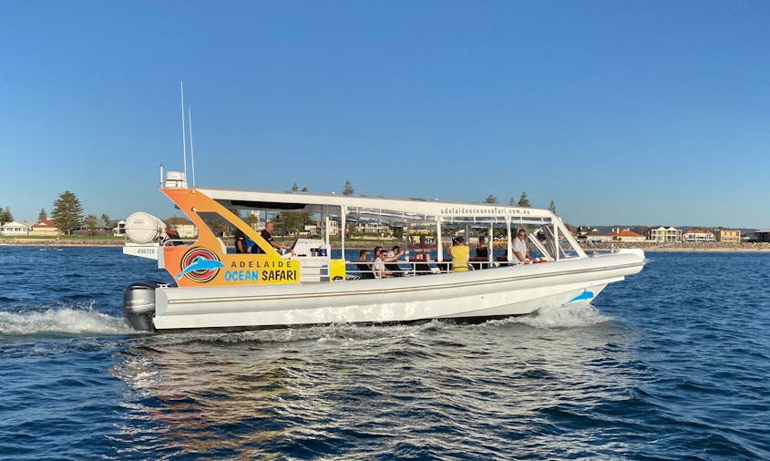 Adelaide to Kangaroo Island Ocean Safari