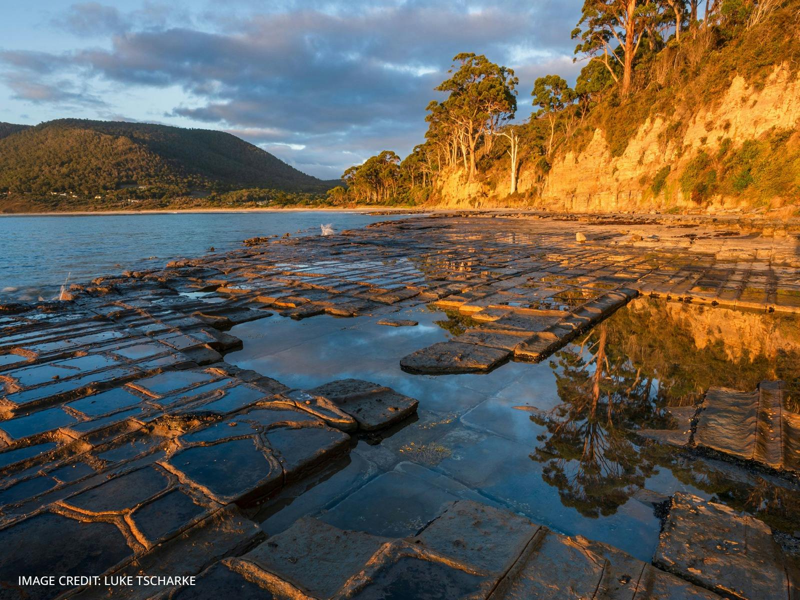 An image of the Tessellated Pavement on the Tasman Peninsula