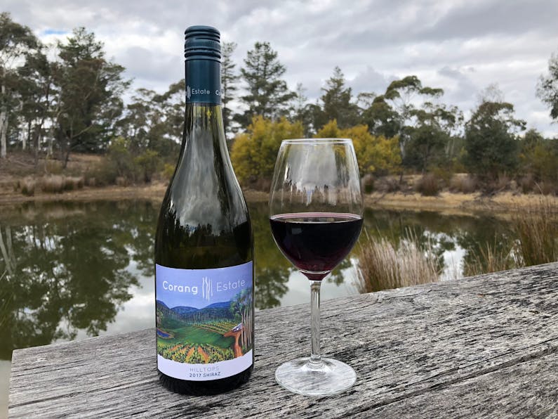 Image of the event 'Truffle Hunt and Tasting with Wine Tasting'