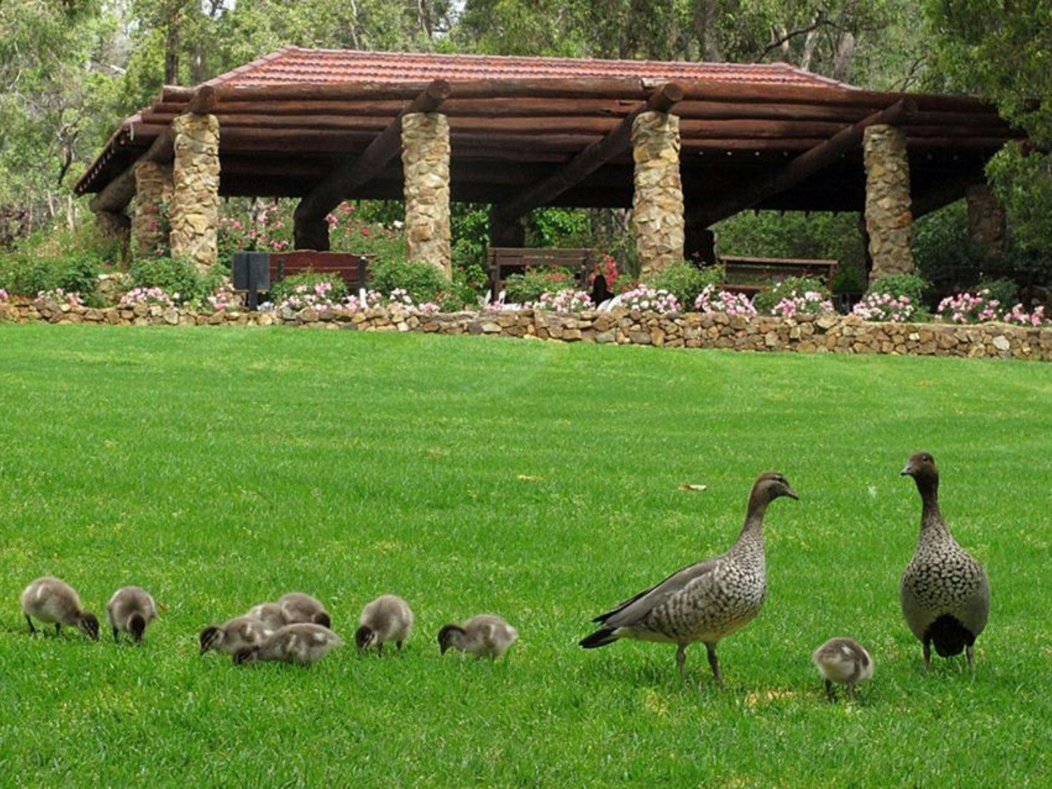 Araluen Botanic Park