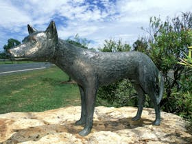 Dingo Statue
