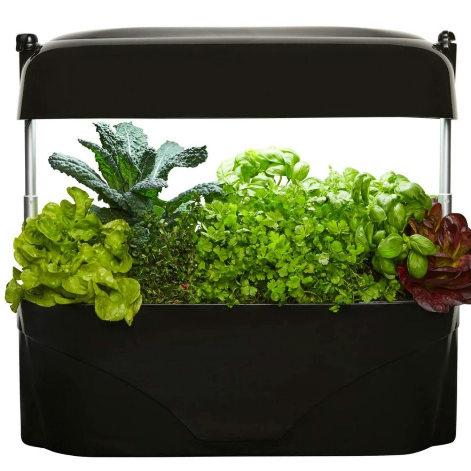 Vegepod - Kitchen Garden