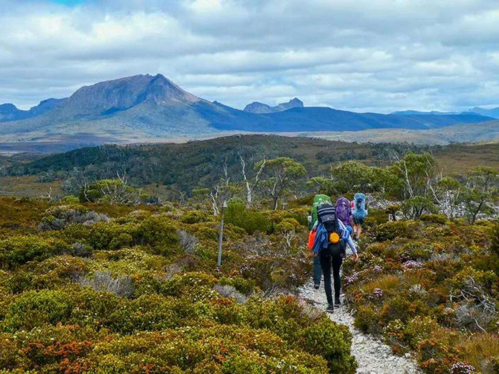 tasmania_cradle-mountain-trek_trail