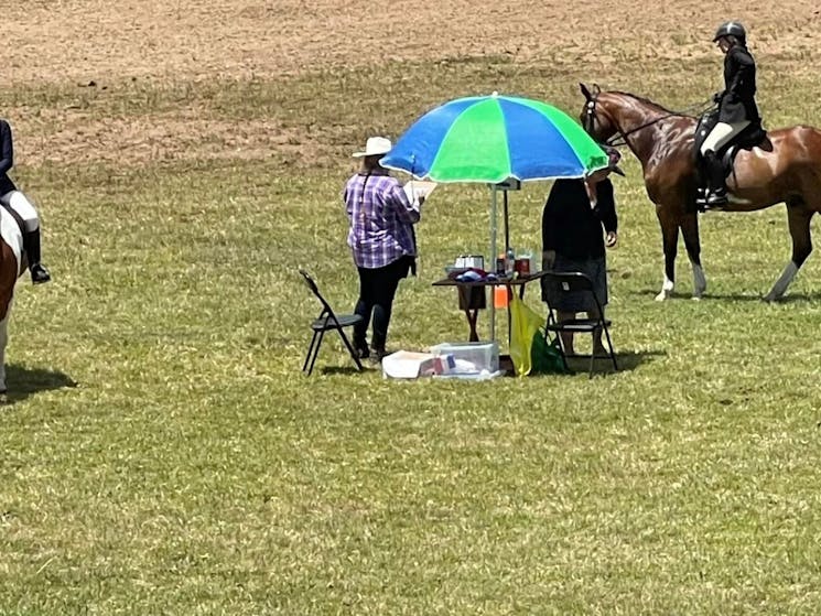 Horse Judging