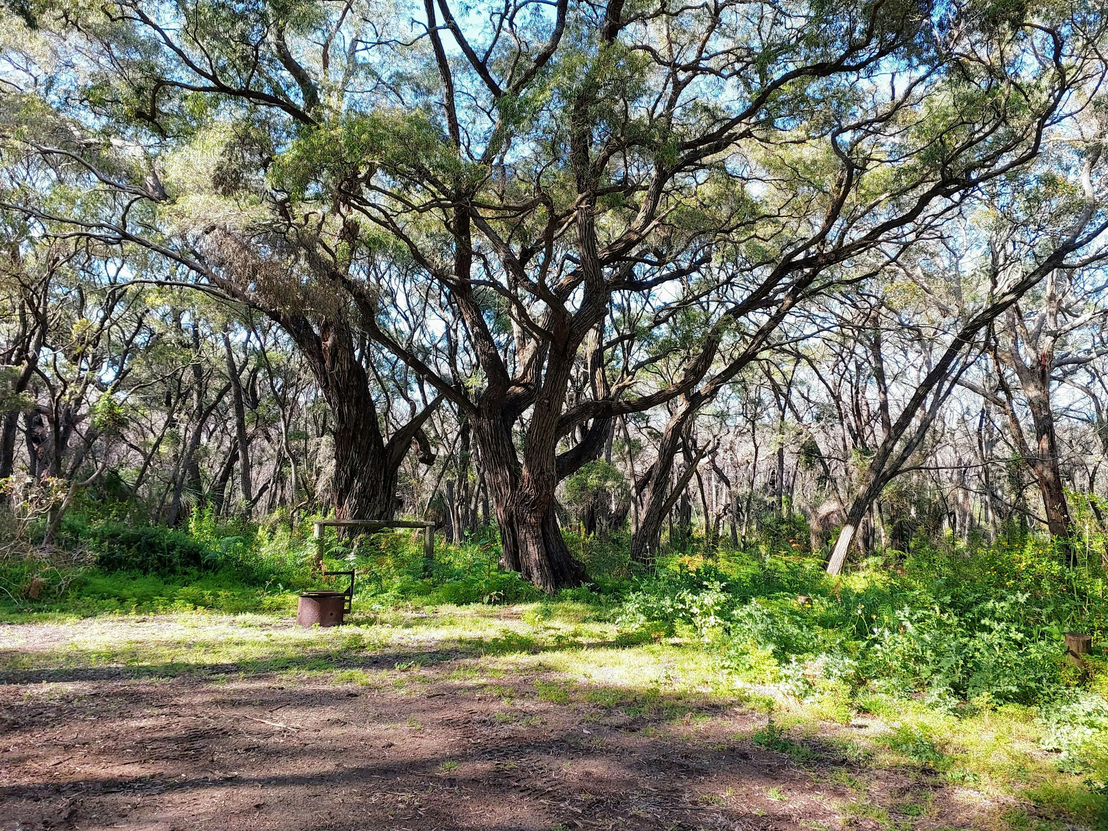 Point Road Campground