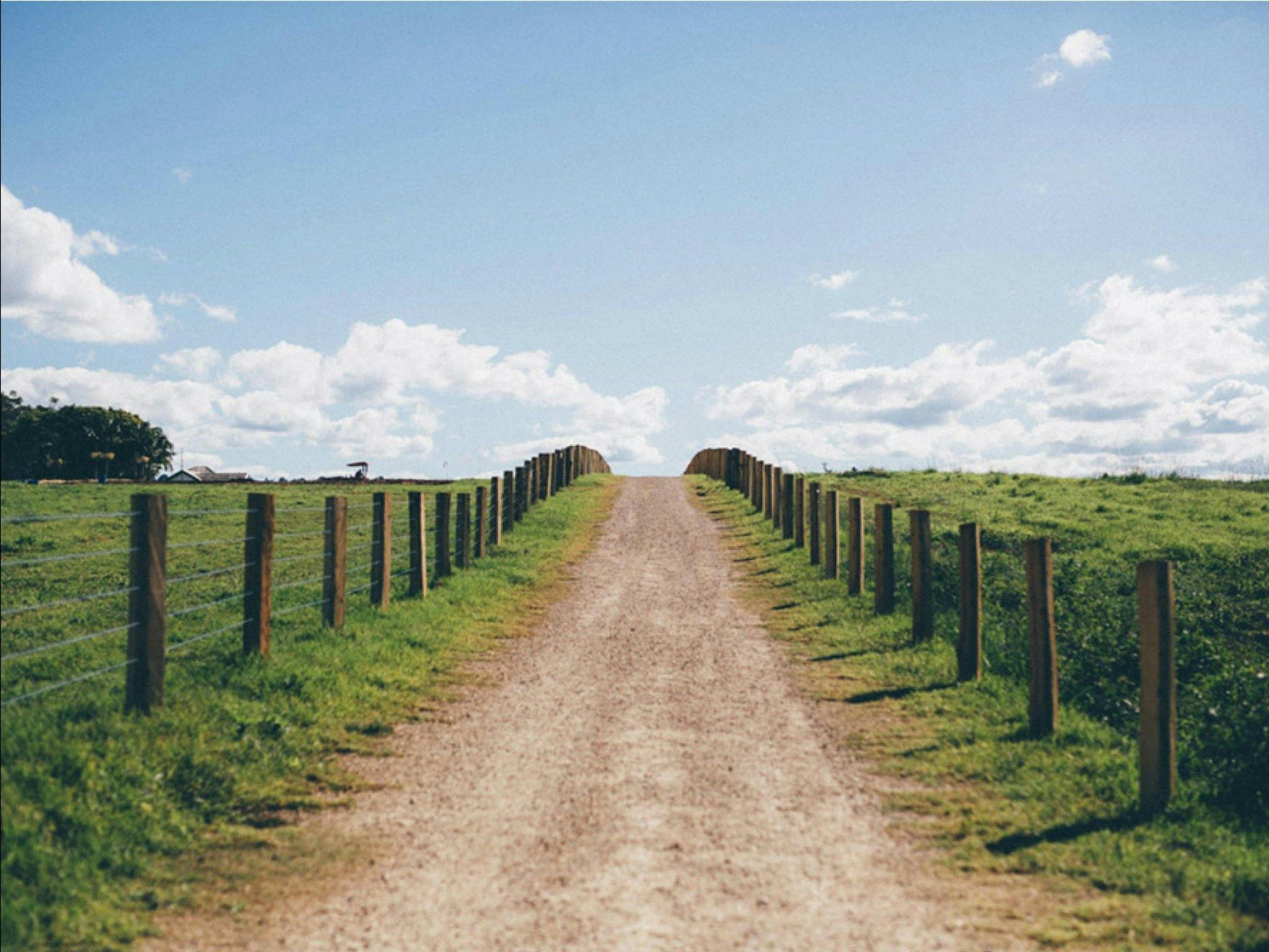 The Farm Byron Bay