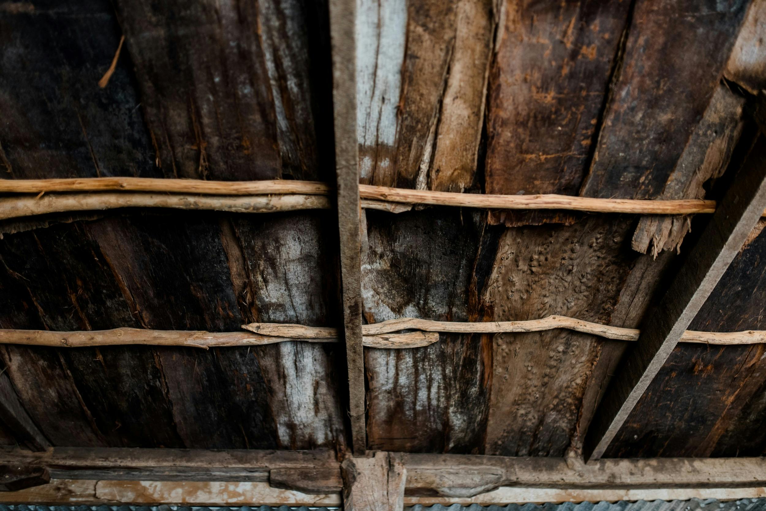 Jones Winery & Vineyard Rutherglen Cellar Door Heritage Bark ceiling original