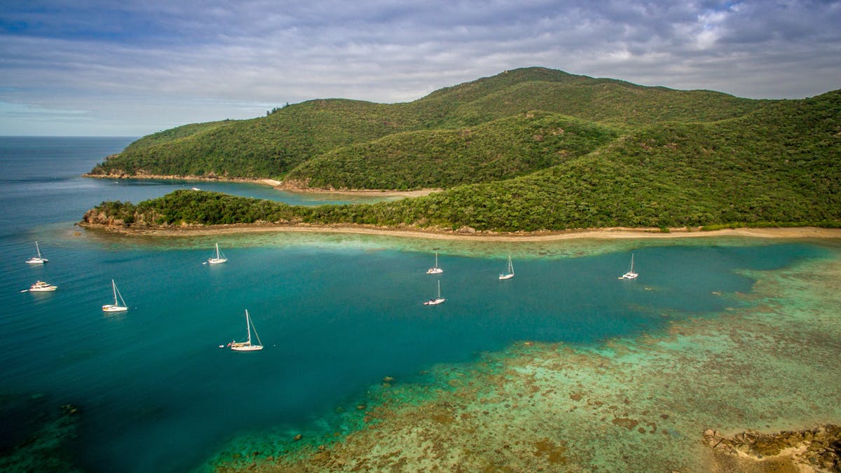 Butterfly Bay, Hook Island, Whitsundays Butterfly Bay, Hook Island, Whitsundays