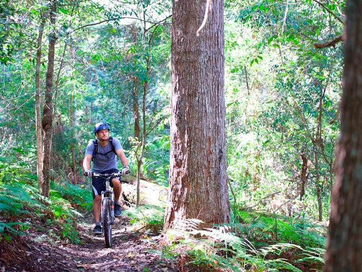 Great Trails On The Door Step