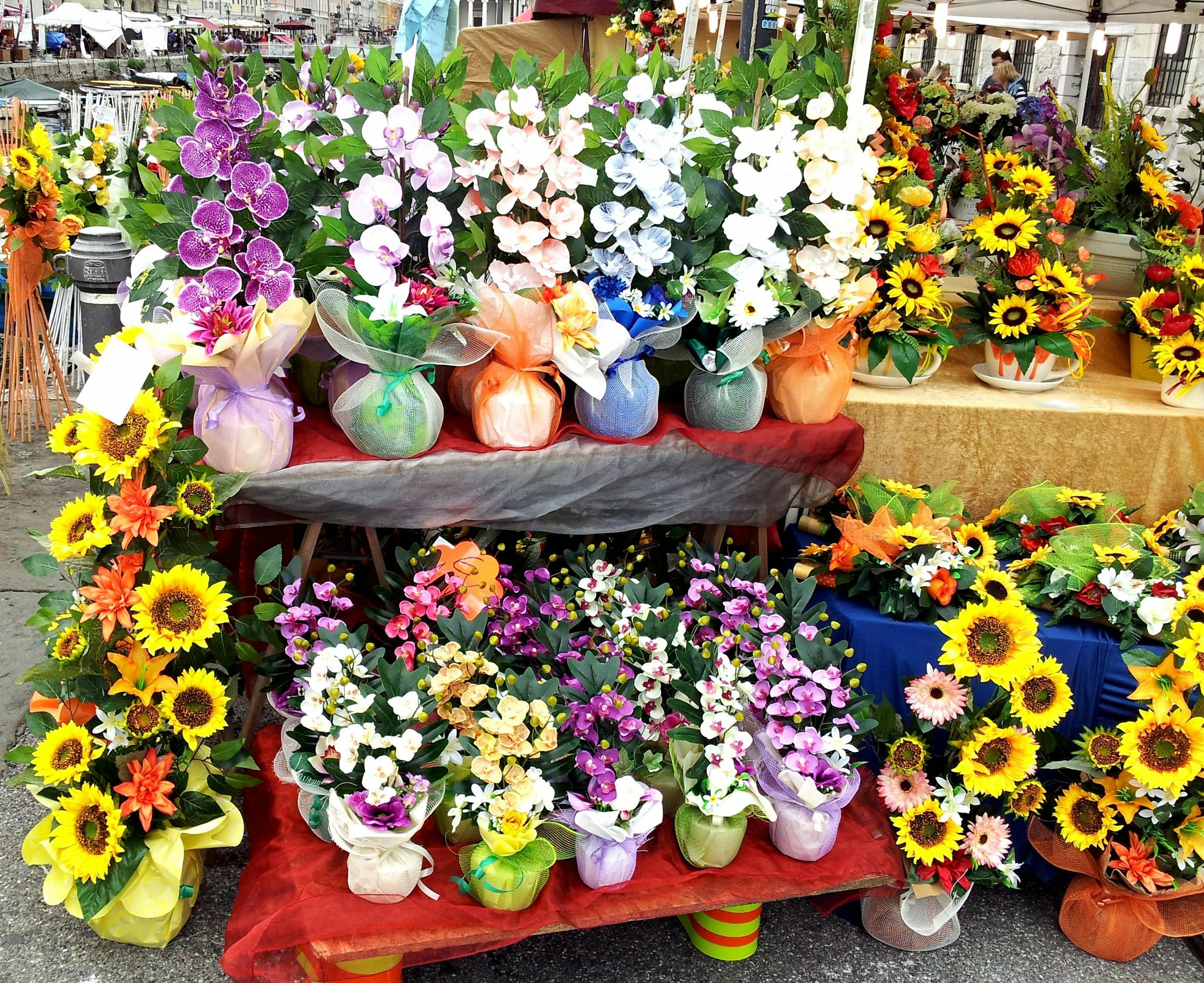 Plant stall