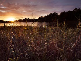 Spring Creek Wetlands and Bird Hide