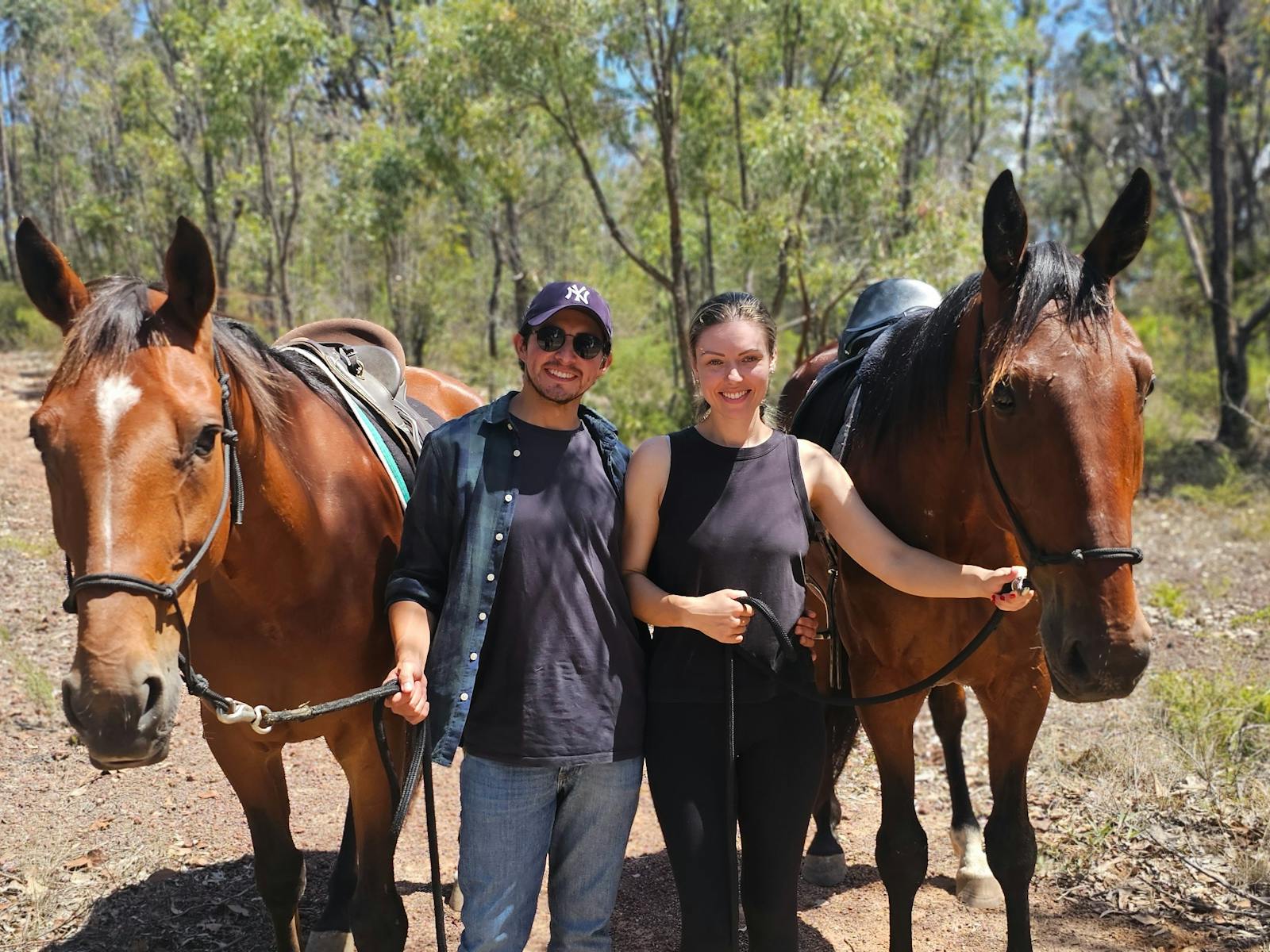 Share equine experiences together in Sydney